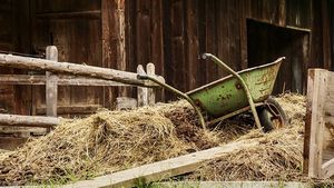 Bălegarul, la mare căutare în SUA. Cât a ajuns să coste o tonă