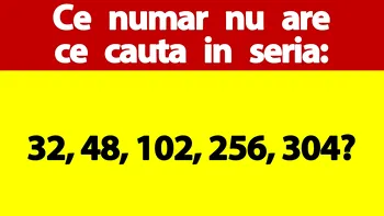 Test IQ exclusiv pentru genii | Ce număr nu are ce căuta în seria: 32, 48, 102, 256, 304?