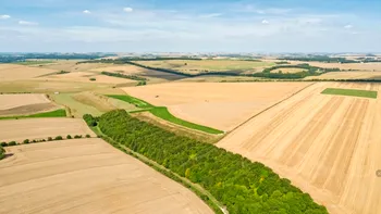 Cât teren dețin străinii în România, de fapt. Procentul nu este unul foarte mare