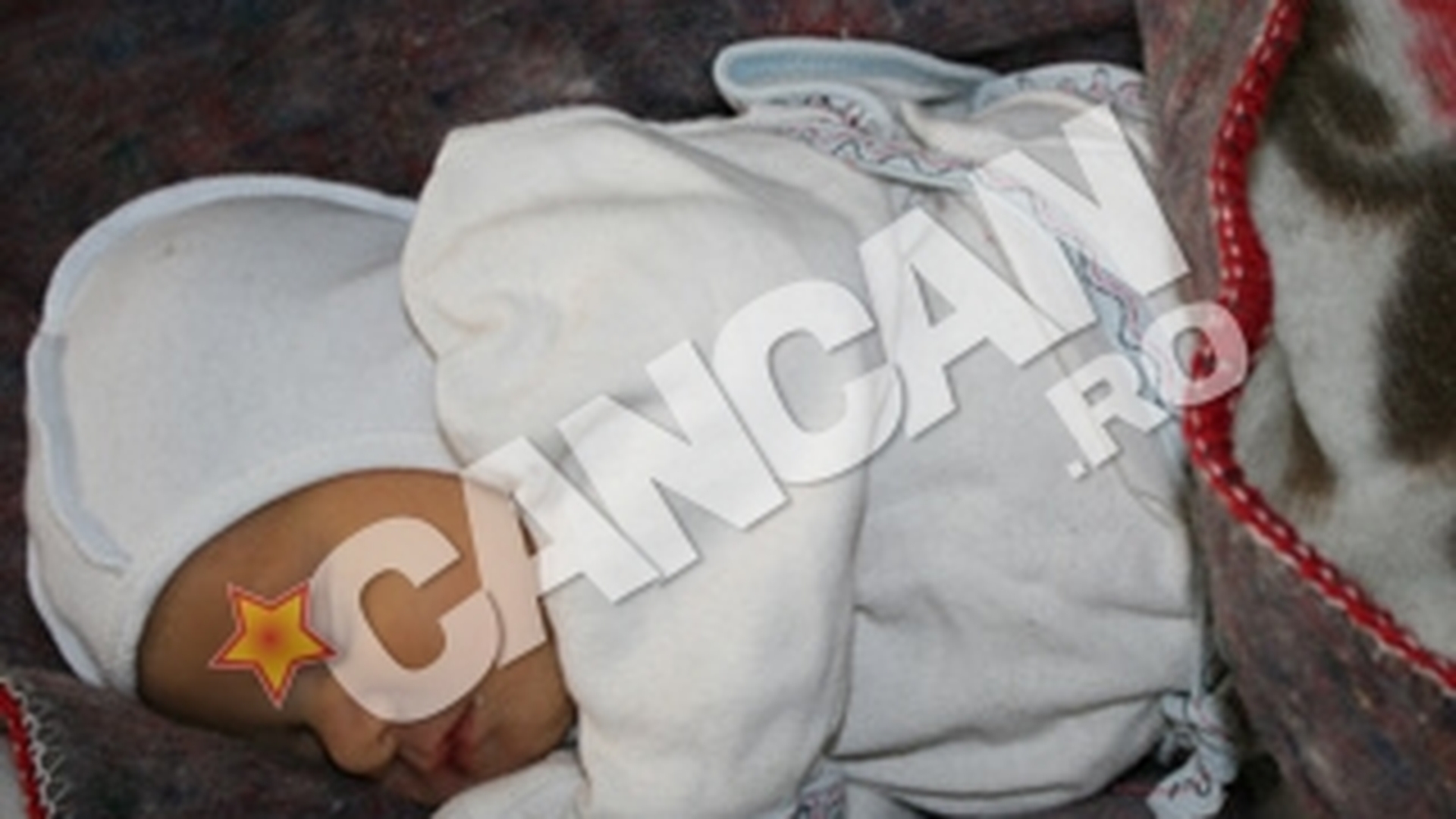 Femeia care si-a abandonat bebelusul in padure a fost prinsa! E o studenta care nu le spusese parintilor ca va avea un copil