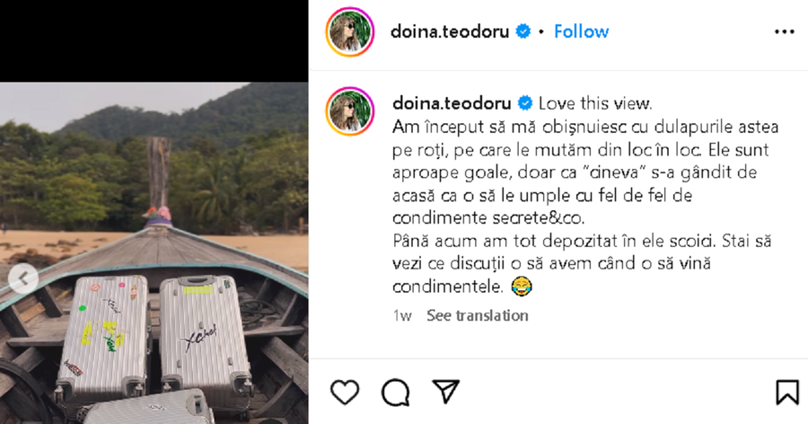 doina teodoru 