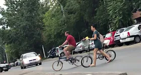 Galerie foto - poza 2