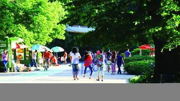 Imagini de colectie! Uite cum se joaca Andra cu copilul ei prin parc!