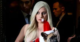 Galerie foto - poza 4