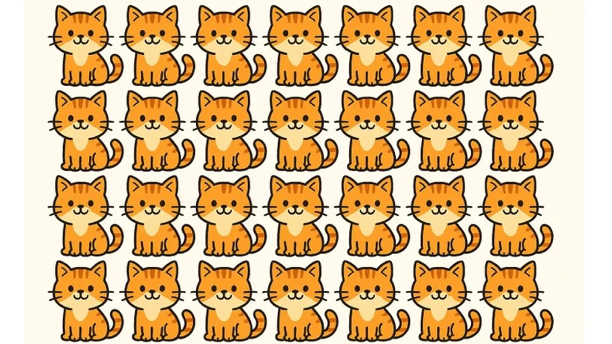 Test de logică | O singură pisică este diferită de toate celelalte. Care?