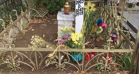 Galerie foto - poza 1