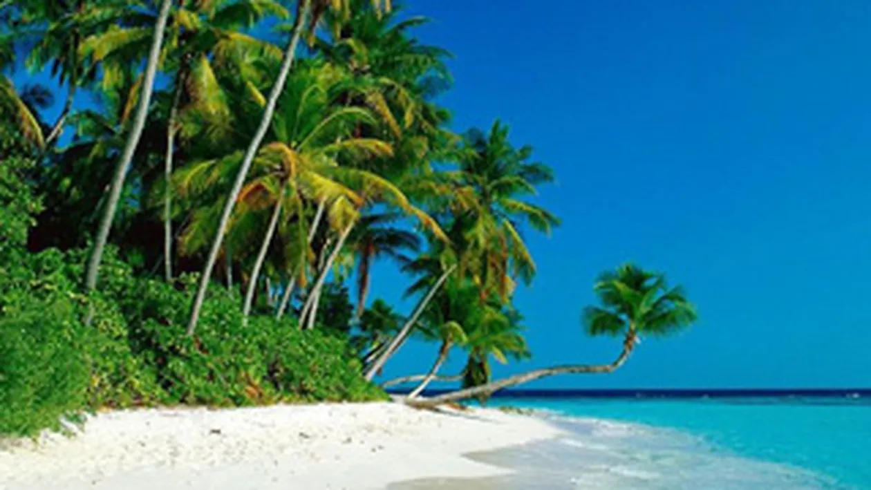 Visul oricarui angajat: sa lucreze ca tester de luna de miere