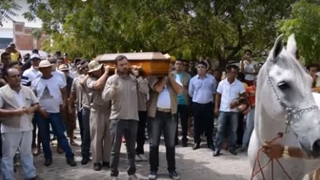 Este incredibil ce a făcut un cal când stăpânul a fost înmormântat: ”Parcă înțelegea ce se întâmplă!” VIDEO