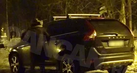 Galerie foto - poza 4