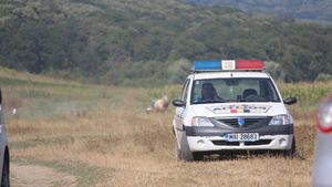Caz șocant în Timișoara: un nou-născut a fost găsit fără suflare pe un camp