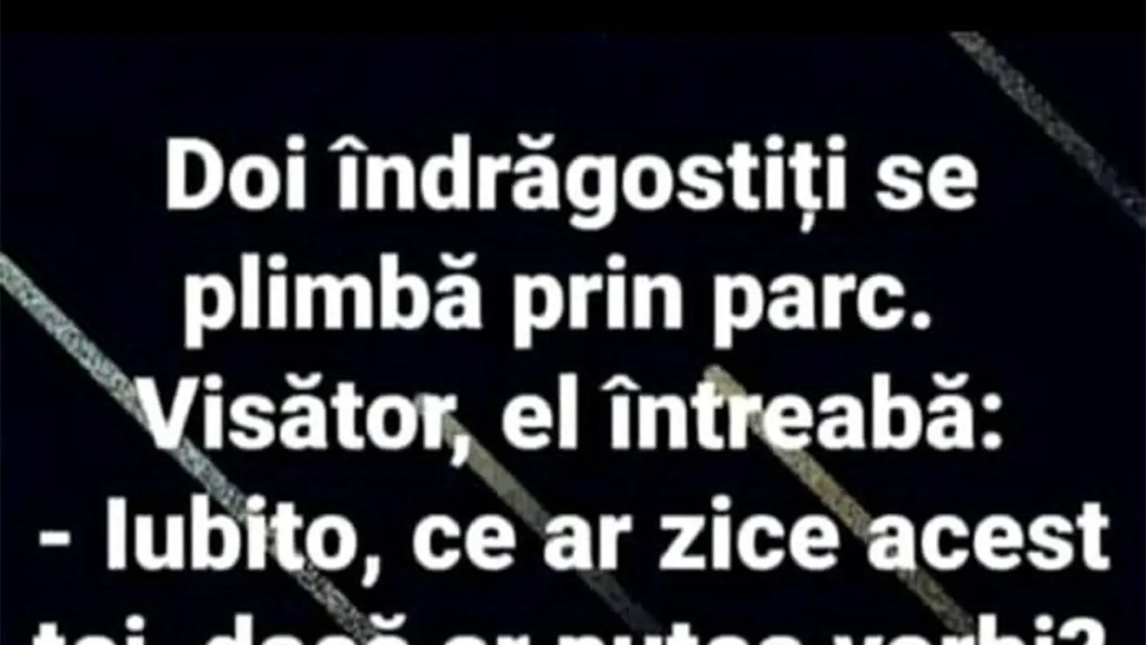 BANC | Doi îndrăgostiți se plimbă prin parc