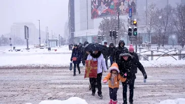 Ninsorile și viscolul revin în România. ANM a făcut anunțul