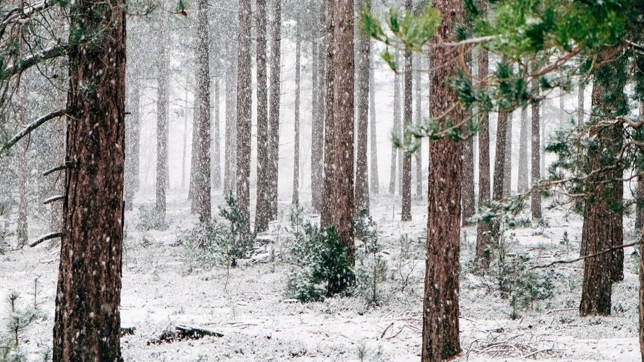 Cum va fi vremea pe 8 decembrie. Anunțul important al ANM: Temperaturile scad și va ninge