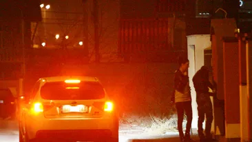 Andreea Tonciu si Nicky Mitea, impacati de Puf! Catelul a reusit sa-i faca sa doarma din nou impreuna in casa fotalistului!