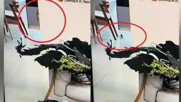 Imagini șocante surprinse de camerele de filmat la Insula Iubirii. Ireal ce a apărut pe blatul din bucătărie, din casa concurenților