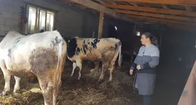 Galerie foto - poza 3