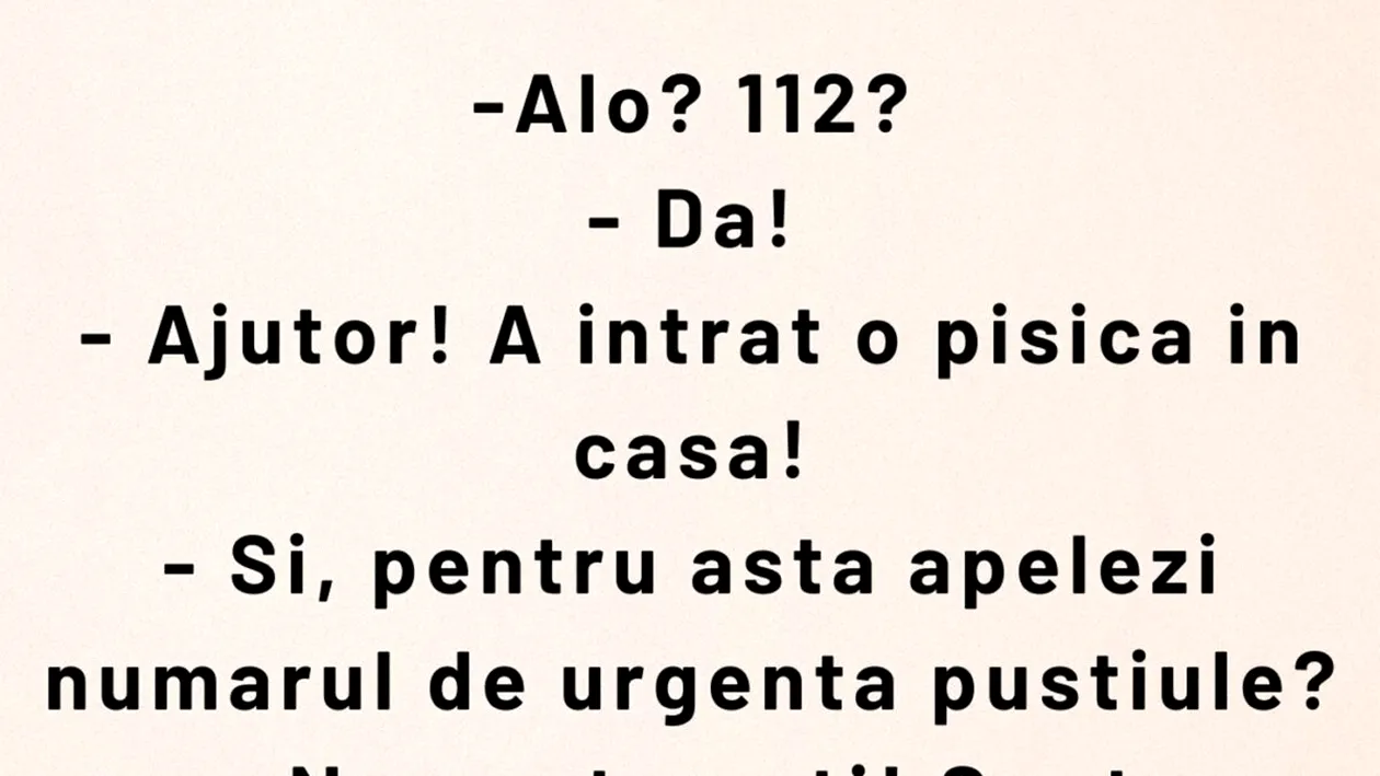 BANCUL ZILEI | Ajutor! A intrat pisica în casă