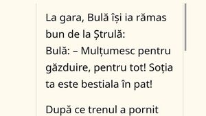 BANC | Bulă își ia rămas bun de la Ștrulă: "Mulțumesc! Soția ta e bestială în pat!"
