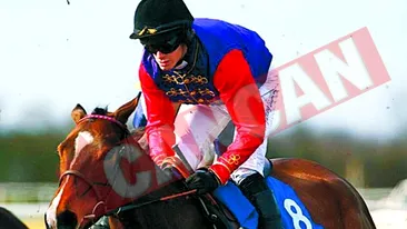 Calul reginei, gasit dopat