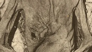 Cadavrul mumificat al unui barbat mort in urma cu 20 de ani, gasit intr-o casa parasita din Italia