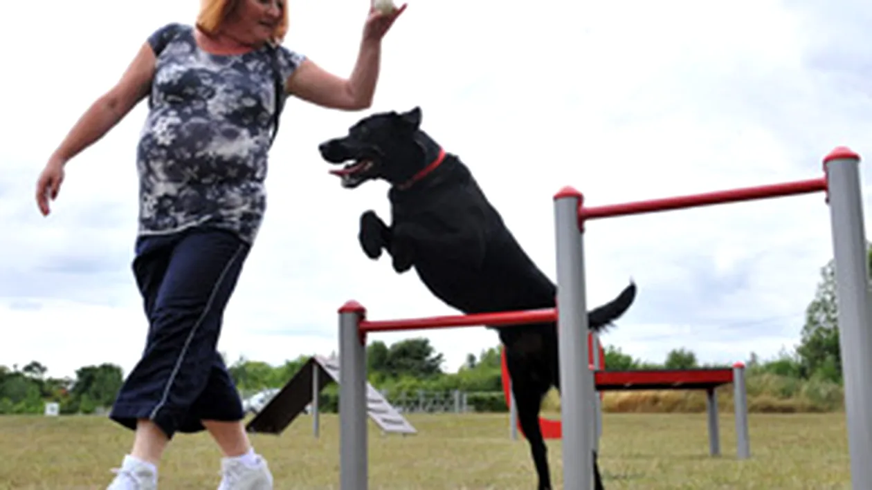 Ce parc au cateii din Marea Britanie!