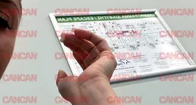 Galerie foto - poza 2