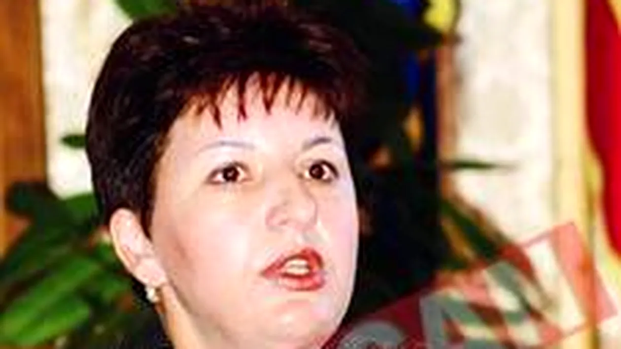 Democrata Sulfina Barbu, mama taxei auto