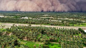 O gigantică furtună de nisip provoacă haos în Texas și New Mexico. Ce au avertizat autoritățile
