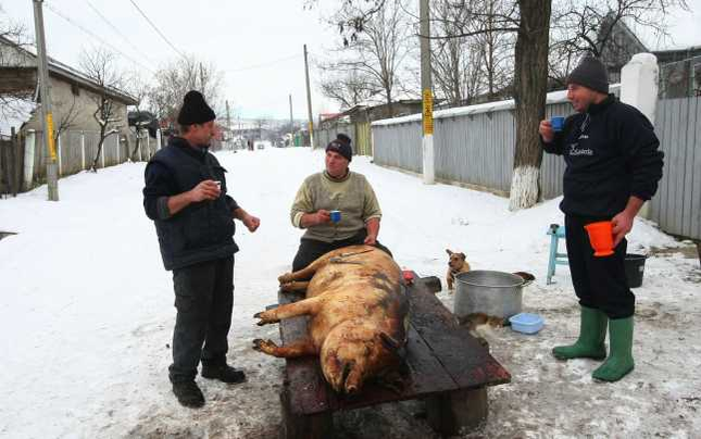 Tăiatul Porcului nu are cum să lipsească din tradiția de Crăciun