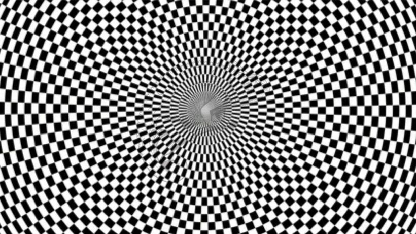 Iluzie optică virală | Exclusiv pentru genii: Ce animal se ascunde în această imagine?