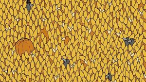 Test IQ | Numai cei cu ochi ageri văd unde se ascunde para, în doar 15 secunde!