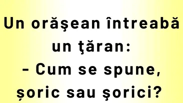 BANCUL ZILEI | Cum se spune: șoric sau șorici?