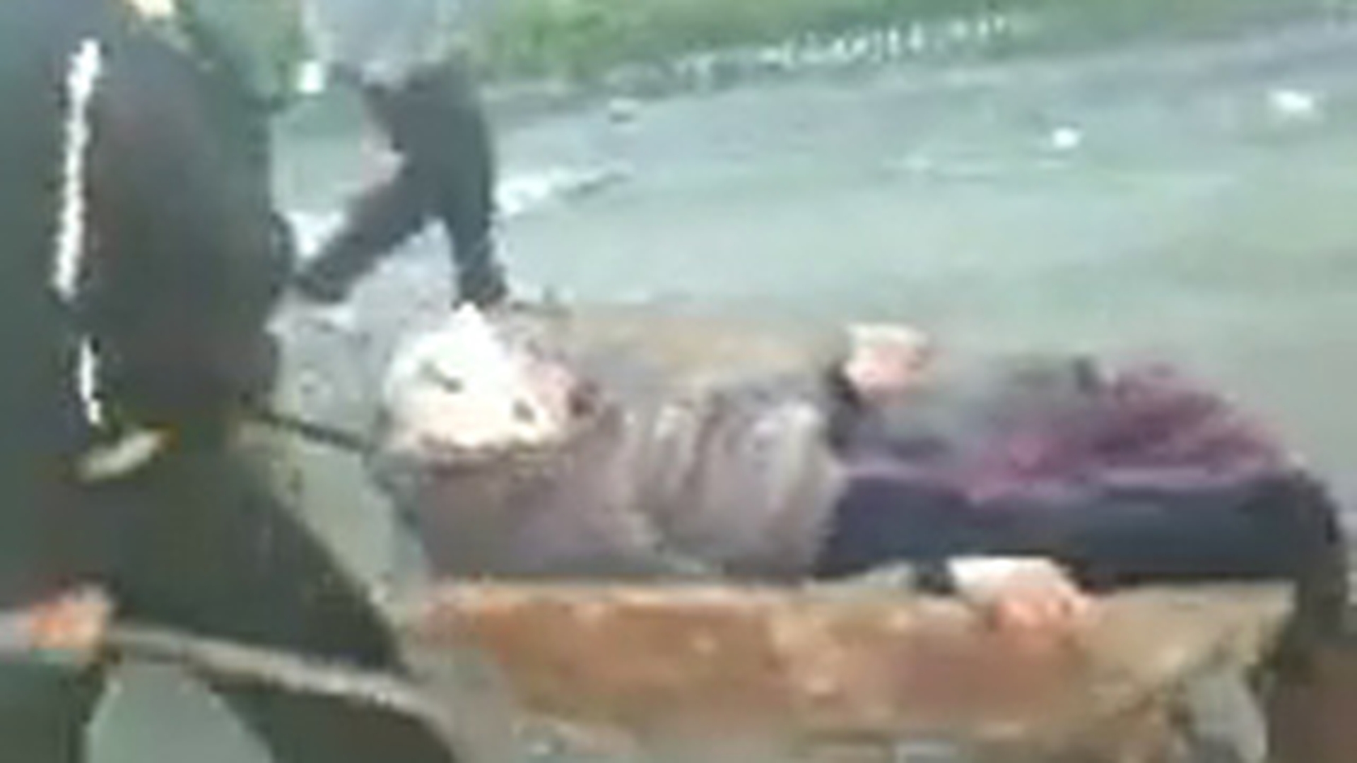 Video de la tara! Ea e betiva satului! Batrana asta este carata cu roaba acasa dupa ce s-a facut praf si doarme in sant!