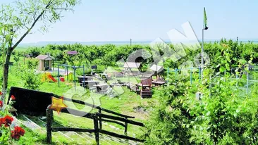 Un om de afaceri libanez a batut palma cu vaduva milionarului Naghi! Pretul ar fi de peste 3 milioane de euro