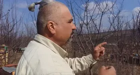 Galerie foto - poza 3