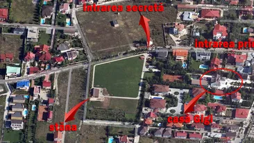 Am descoperit pe ce usa secreta a iesit! Uite pe unde a fugit Gigi Becali din vila din Pipera, direct in arestul Politiei!