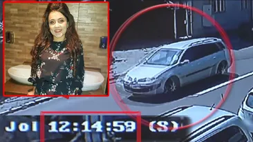 Cum a răpit-o Gheorghe Dincă pe Luiza. Ce au surprins camerele de supraveghere din intersecția groazei