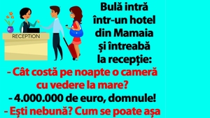 BANC | Bulă intră într-un hotel din Mamaia, întreabă cât costă o cameră și primește răspuns: "4.000.000 de euro"