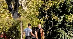 Galerie foto - poza 3