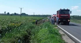 Galerie foto - poza 2