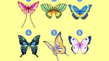 Testul de personalitate devenit viral | Alege un fluture dintre cei 6 și vei afla totul despre tine