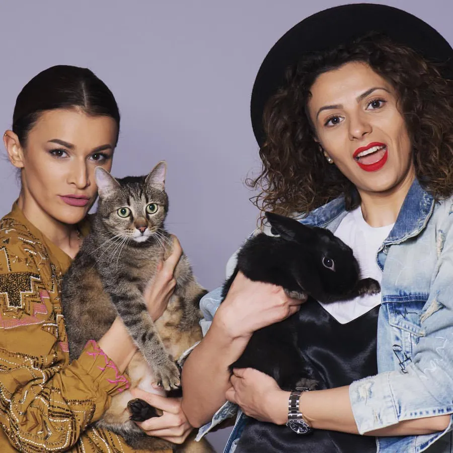 like one ruxi creata 7