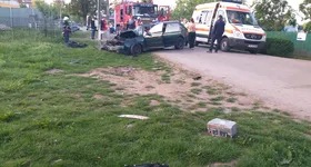 Galerie foto - poza 4