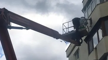 Pompierii din Bacău, solicitați la o intervenție “dulce”! Localnicii s-au oprit pe stradă ca să vadă operațiunea