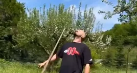 Galerie foto - poza 3