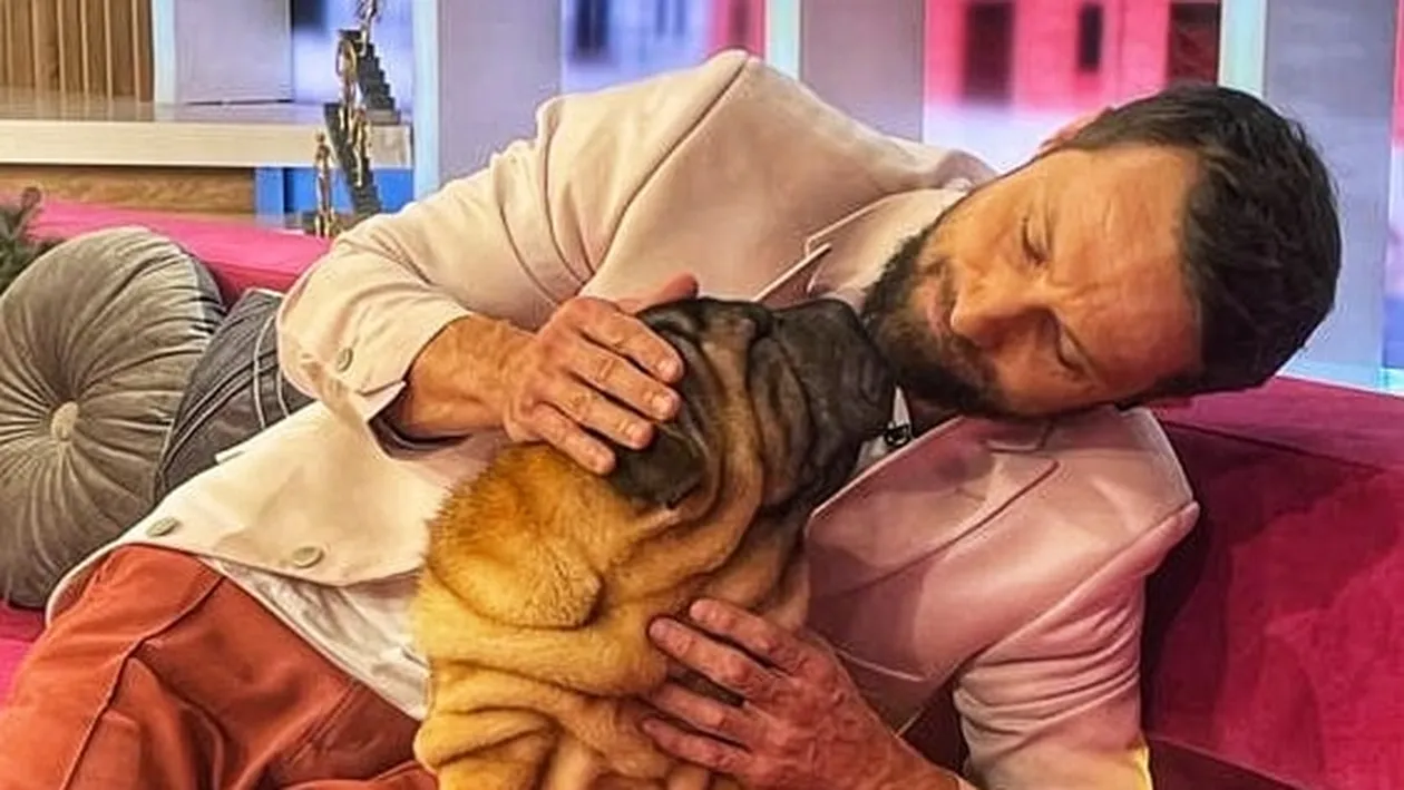 Din ce face bani Dani Oţil? Afacerile vedetei Antenei 1 în care şi-a băgat coada şi soacra: E aproape şefa mea