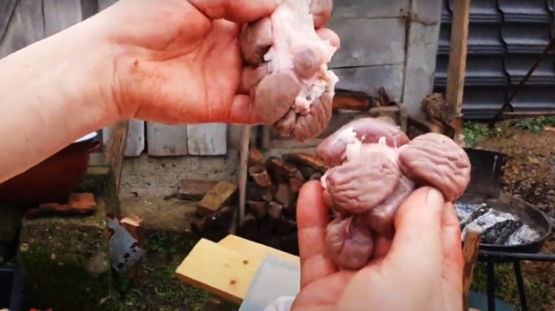 Proprietarului nu i-a venit să creadă! Porcul sacrificat de Crăciun în Sălaj avea 14 rinichi
