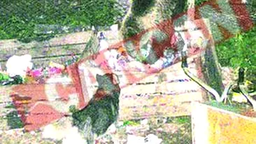 Turist german sfasiat de urs In Bucegi