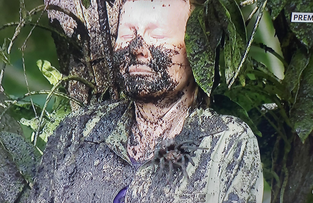 Cine a câștigat prima probă a concursului „Sunt celebru, scoate-mă de aici!”, de pe Pro TV. Învingătorii au avut parte de surprize dulci