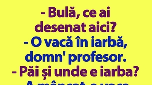 BANC | "Bulă, ce ai desenat aici?"